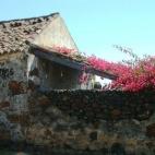 5c8b6b2f2500001304ca9e04