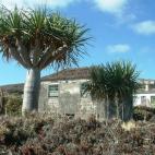 5c8b6b2f2300002f00e8255f