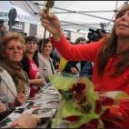 5c8aa283360000a61b6bc18a