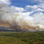 5c8b776a3b000070066da83d