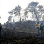 5c8b776a3b000072066da841