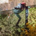 5c8b7d93360000a61b6d37e9