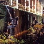 5c8b7d94230000dd0424de84