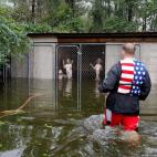 Un grupo de perros, enjaulados por su due&ntilde;o durante las inundaciones del hurac&aacute;n Florence, son rescatados por un voluntario, en Carolina del Norte, Estados Unidos.