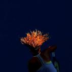 Naomi Osaka juega con Simona Halep en el Open de tenis en Melbourne, Australia.