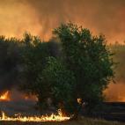 El fuego avanza por los alrededores de Pucarica, un pueblo de Abrantes.