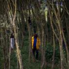 5c8b7f9b3b000072066dbc62