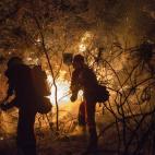 5c8ab9ad2300003000e70dab