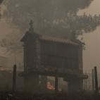 5c8ab9ae2400006c05a39132