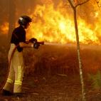 5c8ab9b7250000bd0581a0b4