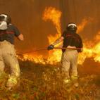 5c8ab9b73b000070066c7481