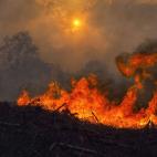 5c8ab9b82400004205a39145