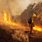 5c8ab9b93b000070066c7485