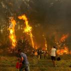 5c8ab9ba360000a61b6bf3aa