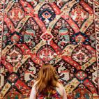 5c8abbe02000009e046fa4ed