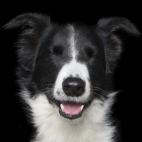 5c8ab4fa2400004205a387ba