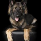 5c8ab4fa360000e01c6bea64