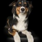 5c8ab4fa20000045046f976e