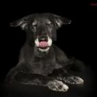 5c8ab4fb240000f404a387bc