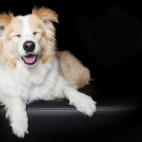 5c8ab4fb2400006b054c4c77