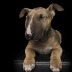 5c8ab4fb20000043046f9770