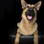 5c8ab4fc240000f404a387be