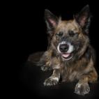 5c8ab4fc2300007f01238c65