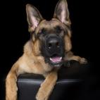 5c8ab4fc2400006f054c4c79