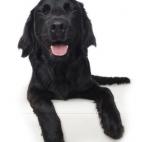 5c8ab4fd250000520681975e