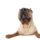 5c8ab4fe2500000a06819761