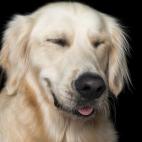 5c8ab4fe2300000401238c6f