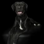 5c8ab4fe230000dd04238c71