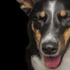 5c8ab4fe230000d504238c73