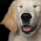 5c8ab4ff2400006c05a387d0