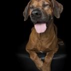 5c8ab5002500000704c97e17