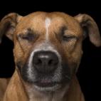 5c8ab500250000520681976c