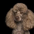 5c8ab5012500000d04c97e1a