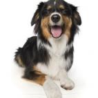 5c8ab5012300000401238c83