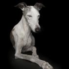 5c8ab5012500000704c97e1d