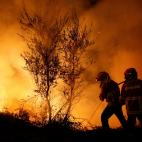 5c8abadc2000009d036fa30f