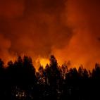 5c8abade3b000054066c7722