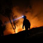 5c8abadf2500000704c98a00