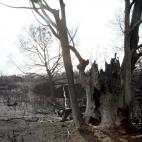 5c8abadf2300003000e71066