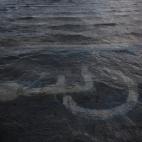 5c8abb5d20000045046fa3d8