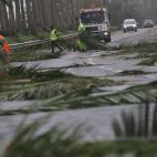 5c8aaa393b000072066c5637