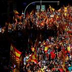 5c8ab6022400006c05a38964