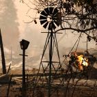 5c8ab6d62000009e046f9ad3