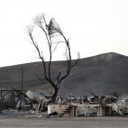 5c8ab6d73b000054066c6e48