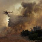 5c8ab6d83b000054066c6e50