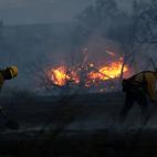 5c8ab6dc2000009e046f9ae1